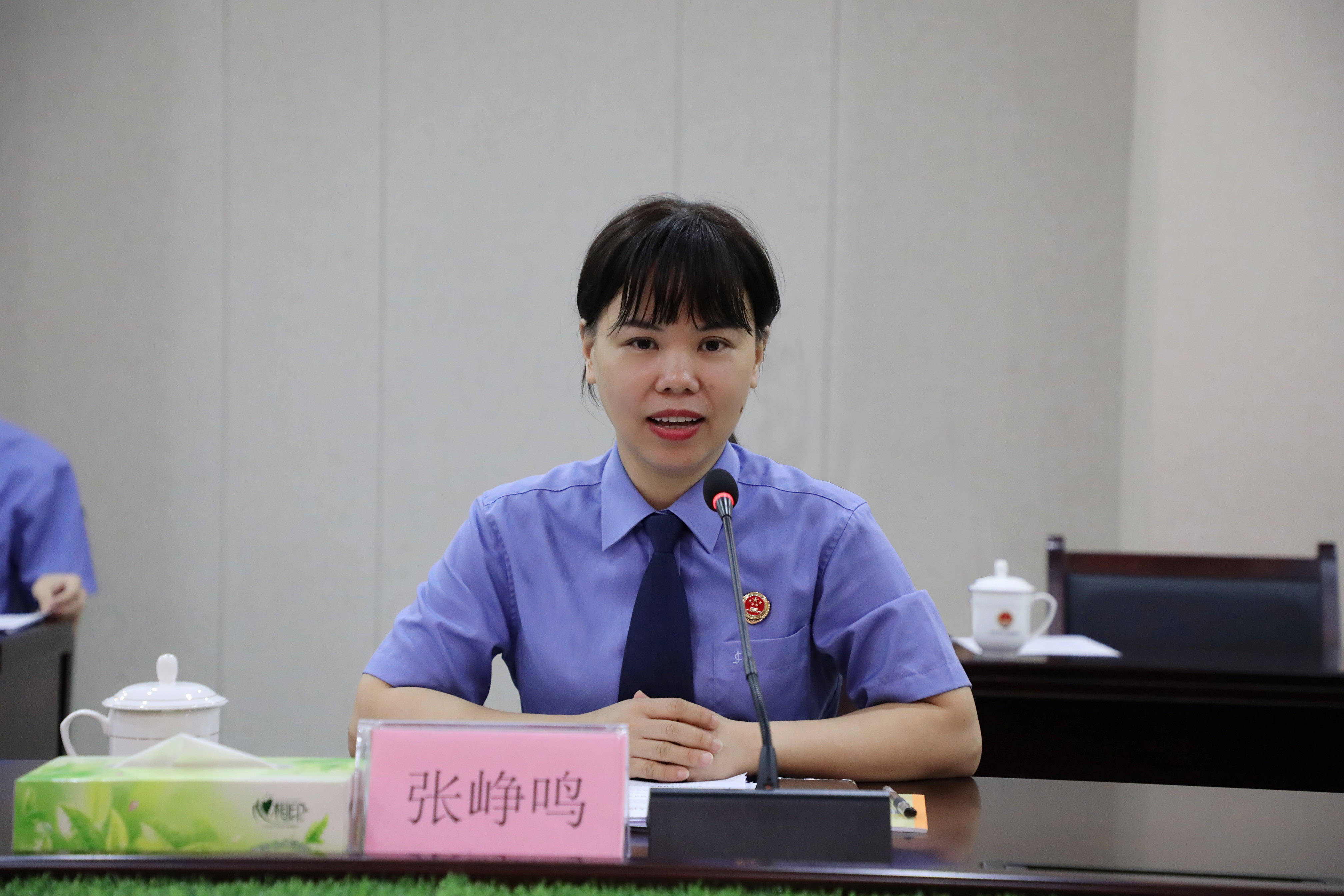 张峥鸣检察长对上级检察院的莅临指导和王天鸿检察长的寄语表达了衷心