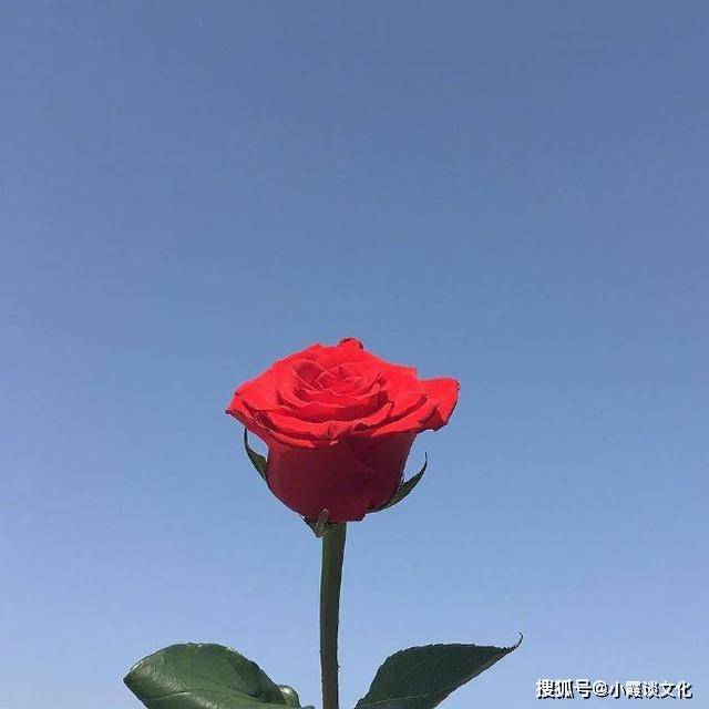 原创抖音很经典的励志句子，精辟走心，越读越给力！
