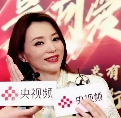 坑洼|董卿过度营销气质好了，化了妆脸上还有小坑洼，素颜更是老阿姨！
