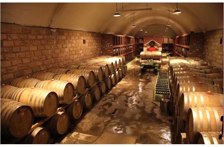 Travel|九月正是葡萄成熟季，来赴一场酒庄之旅！