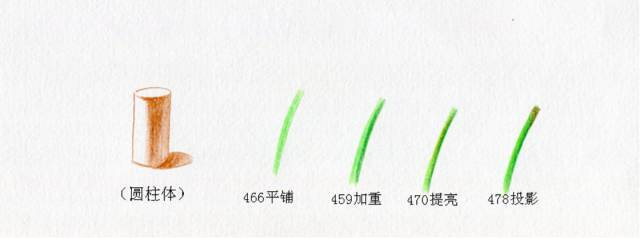 叶子|教你画彩铅花卉红掌