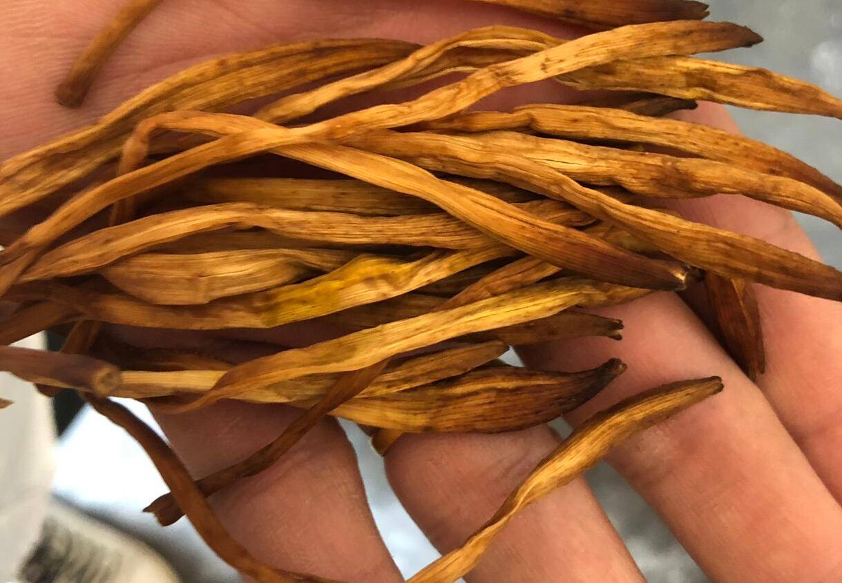 原创成人吃50g鲜黄花菜就可能中毒菜无毒毒怎么来的如何避免