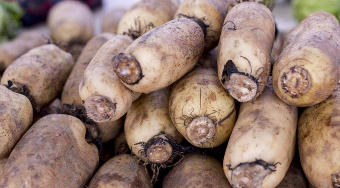 生活|植物胰岛素,糖尿病的“对手”,每天吃一点,糖尿病悄悄逃走