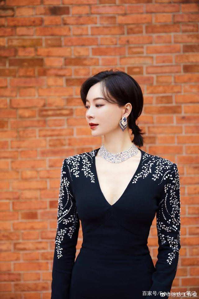 女王|不愧是“旗袍女王”，陈数化身女精英飙戏，干练知性气场满分！