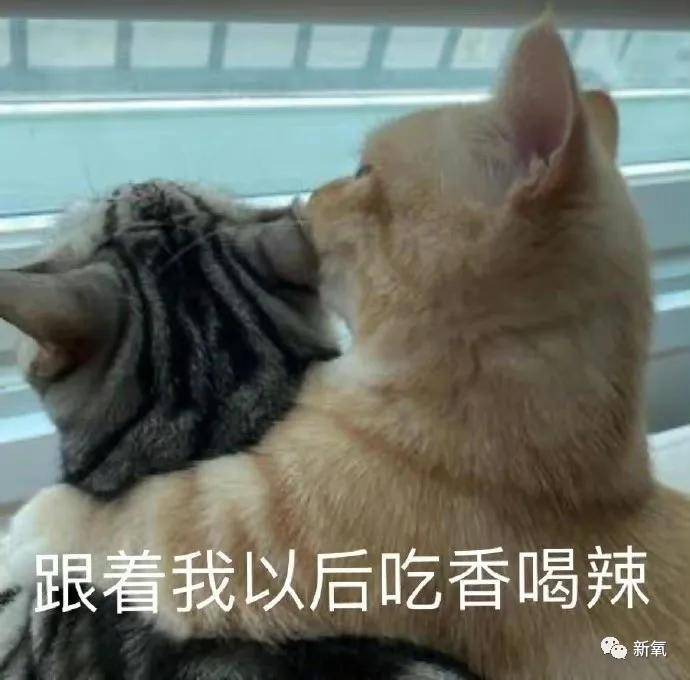 钟楚曦|靠化妆实现换头的自我研究大师钟楚曦，respect！