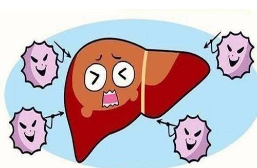 肝脏|乙肝，具备传染性，如何得知自己患上乙肝？