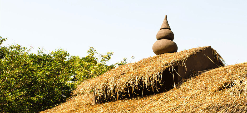 茅草|谁说茅草只能喂牲口？老中医说它才是名副其实的“痔疮杀手”