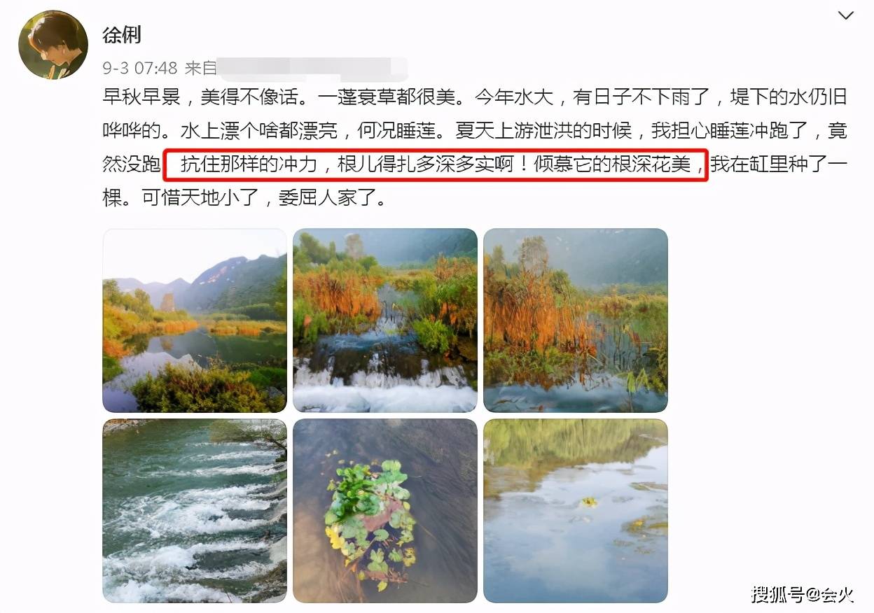 事业|60岁徐俐上山摘栗子！拿超长竹竿姿势滑稽，穿短裤小腿肌肉发达