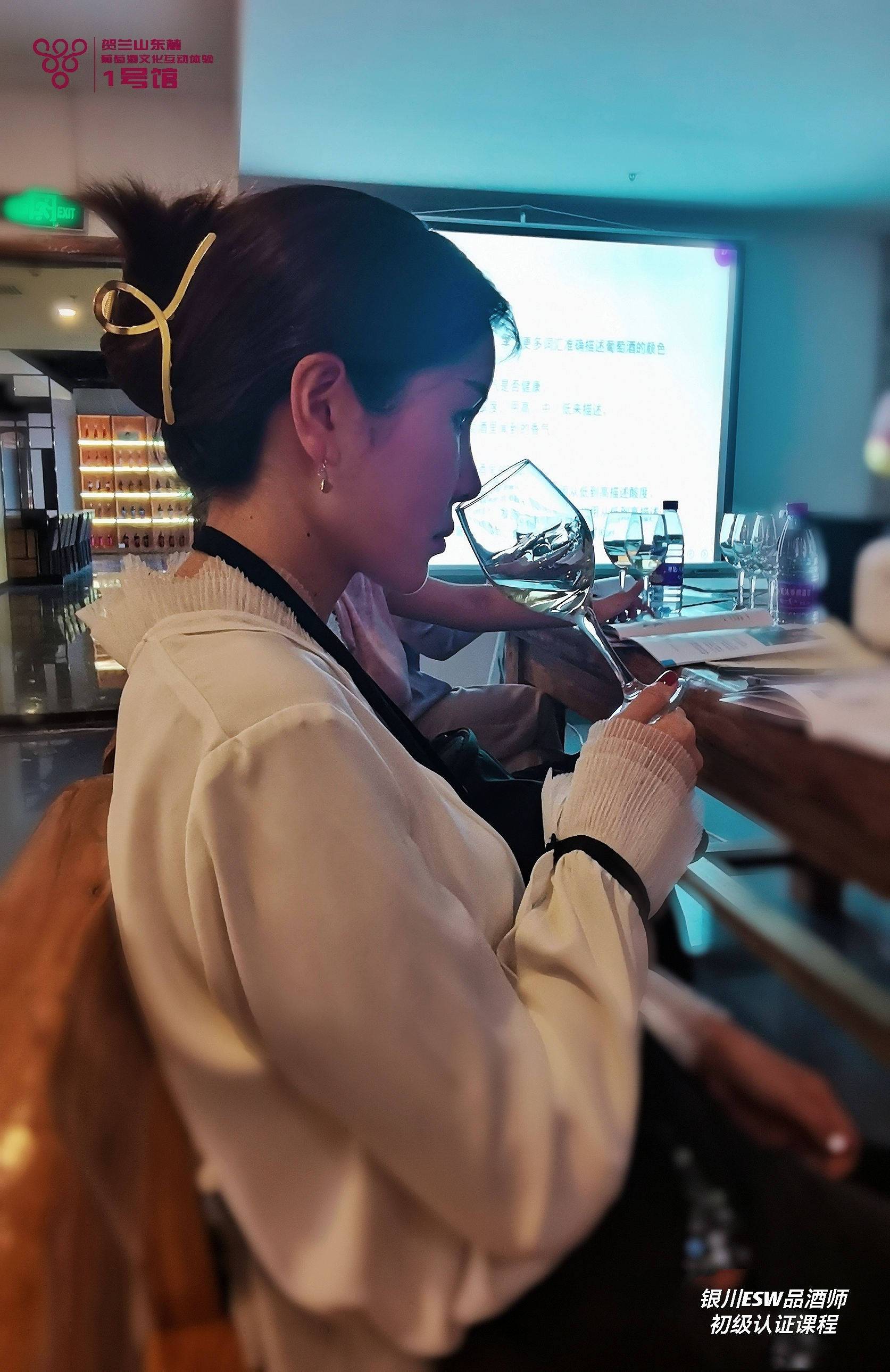 二级|2021宁夏贺兰山东麓列级酒庄诞生,多位葡萄酒大咖如是说……