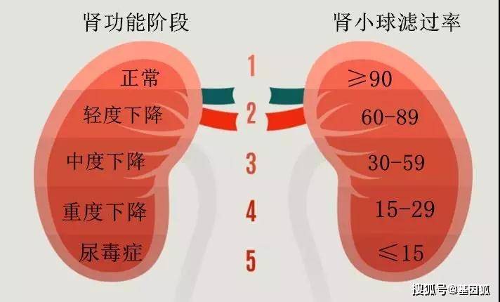 renal|健康科普：血液透析那些事儿