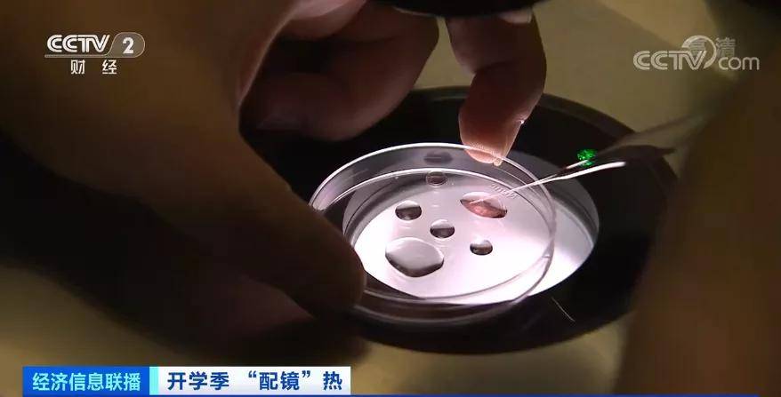 禁忌症|开学首周医院眼科“爆棚”，学生验光配镜小高峰！配镜加保养一年近2万元