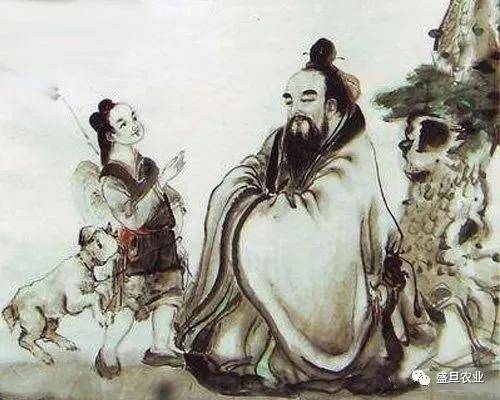 孔子叫仲尼吗 11565c57bbba4d06b6d746396b12ed29.jpeg