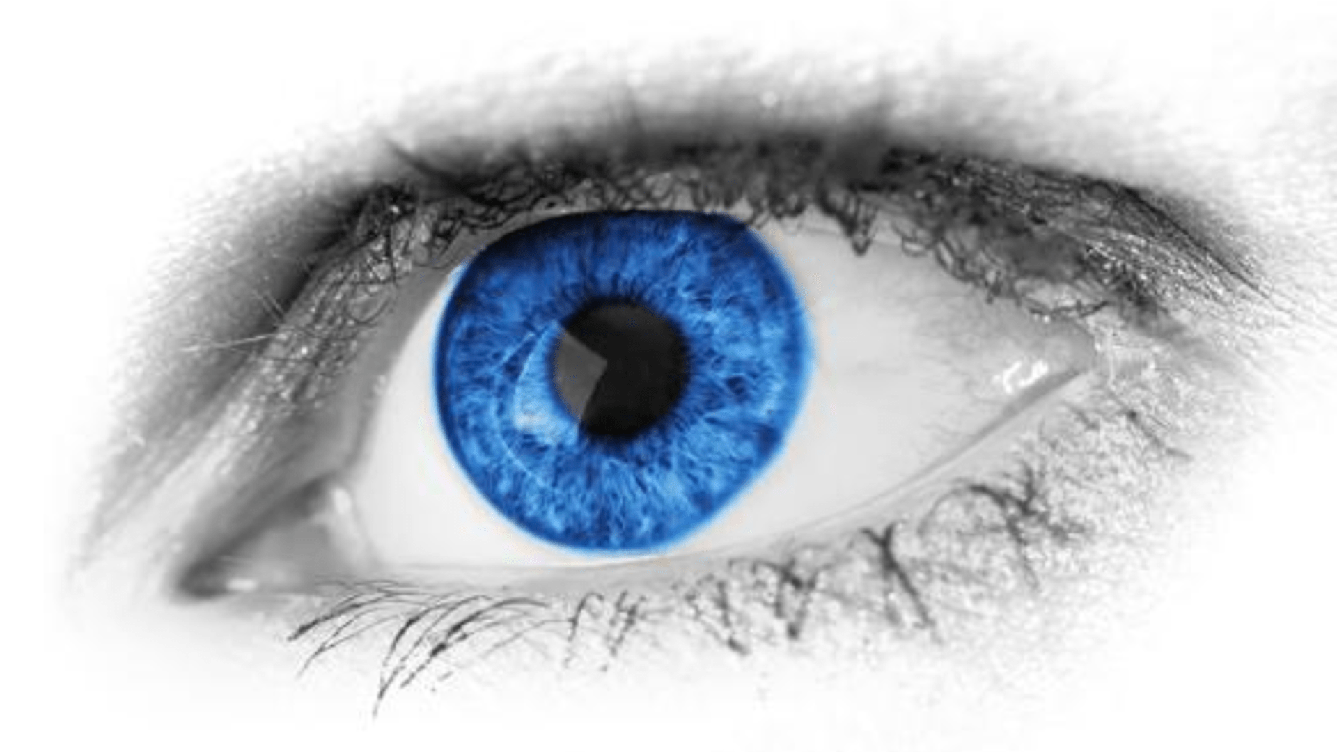 视力|1000度近视恢复1.0视力？微型镜片真神奇，重度近视减烦恼