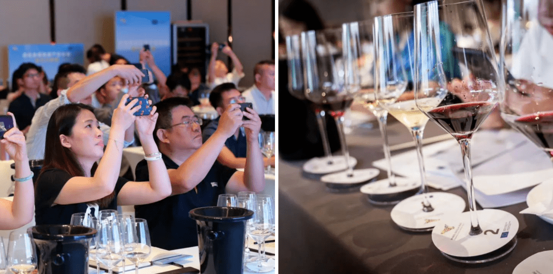 葡萄|为什么选择意大利西西里法定产区?