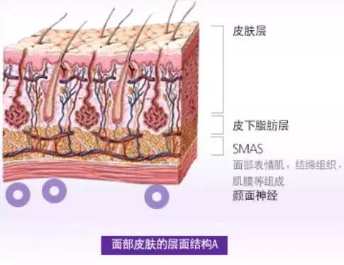 策略|「皱纹」产生的原因及应对策略|你的脸部有皱纹吗？