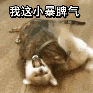 帆布鞋|劝你们不要再买NIKE了!2021穿这几双运动鞋超洋气!简直好看爆了!