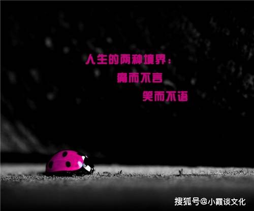 痛到心滴血的句子,句句触碰泪点,哪一句说中你的心事