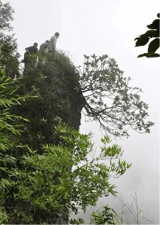 中冶柏芷山避暑度假公园太美了 北纬28 最美避暑天堂 重庆人的避暑后花园 项目 全网搜