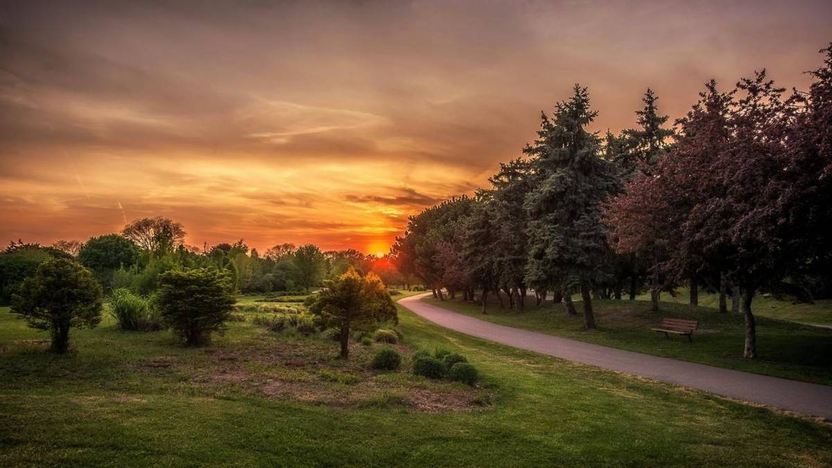 九月中旬 婚姻美满 爱情收获果实 桃花旺盛 良缘将至的星座 感情世界