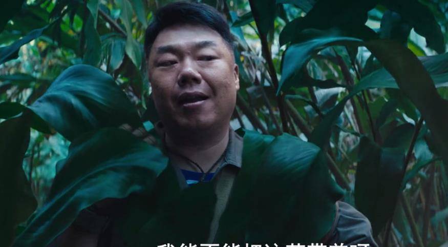 原著|道具粗糙、逻辑混乱、剧情儿戏，《云南虫谷》扑街不是没有原因的