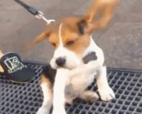 怎么让自己变幽默一点 44578f93c4ab4e7a8d52e76bf641f58b.jpeg