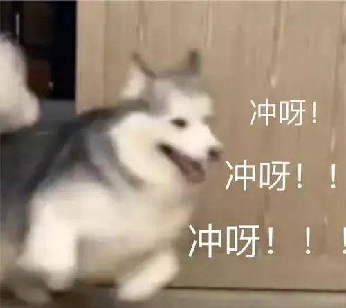双肩包|低至7块6！20款初秋小众平价包！简直绝美！