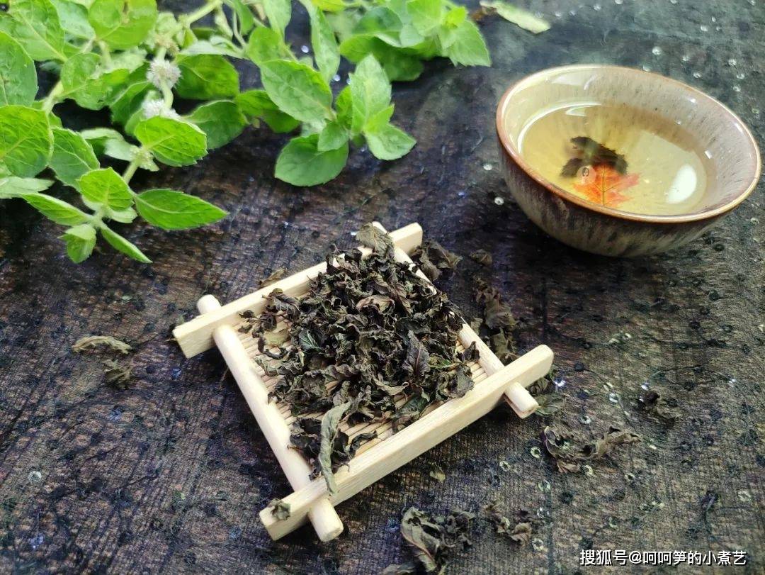 薄荷|新鲜的薄荷吃不完，教你做成薄荷茶，方法简单好储存，可以喝一年