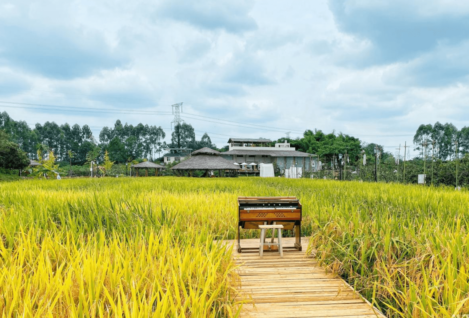 成都秋日好玩農場3大隱秘田園生活1h隨便玩