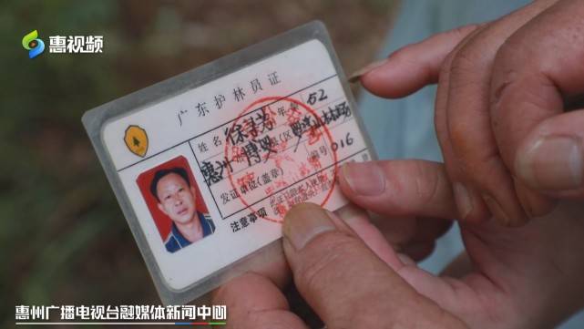 原创惠州一家四代护林员把塞罕坝精神写在罗浮山