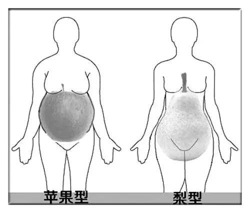 苹果|苹果型身材这样穿，不瘦十斤算我输！