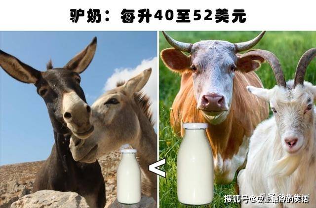 3bafd00d6c224fd8808204efc031c1f3.jpeg