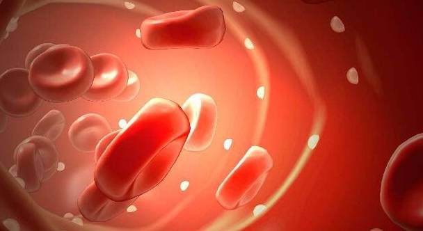 治愈|肾内科主任藏在心里的4句话，肾病患者都需要有所了解