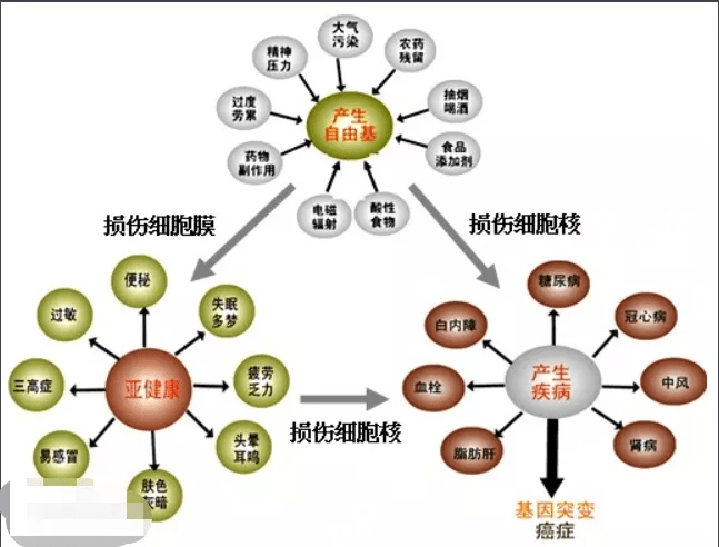 人体|“披荆斩油”的是哥哥，有油、有味的只能是大叔大爷......