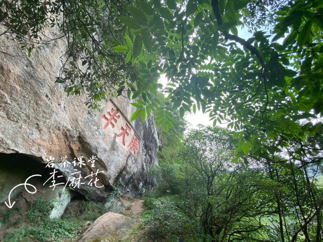 岩茶的第一道茶汤能喝吗 它不是洗茶水吗 怎么还叫还魂汤