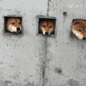 280_280gif 动态图 动图