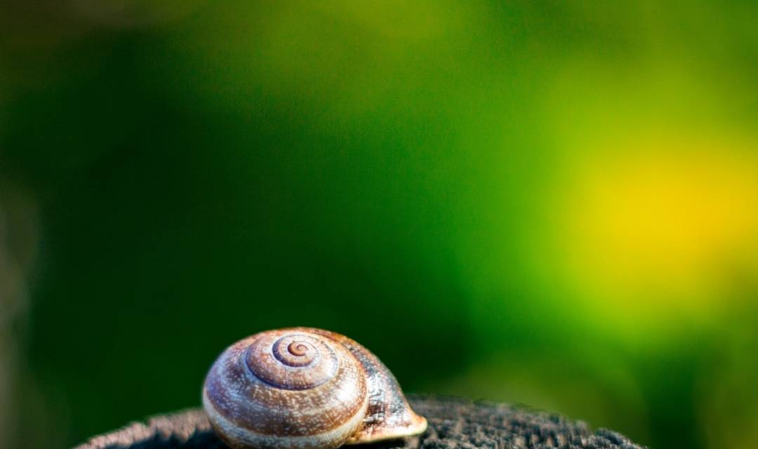 因为|孩子每天哭着说不想去幼儿园？我用这5招治好了儿子的入园焦虑