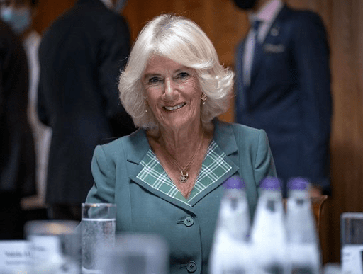 查尔斯|卡米拉被长公主孤立了?穿格纹绿裙清新大方,满脸都是褶子好嘚瑟