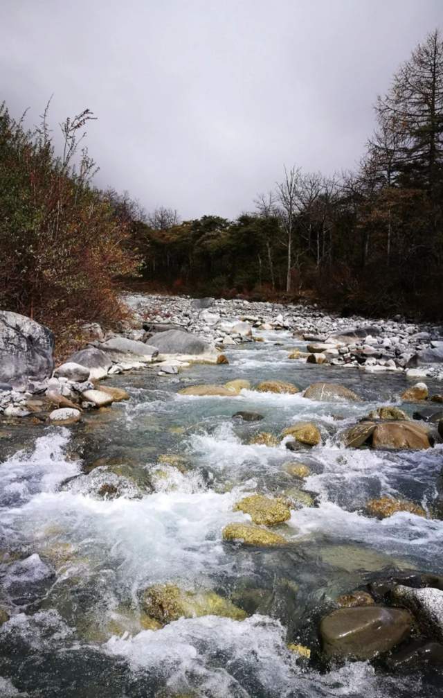 草科乡田湾河景区图片