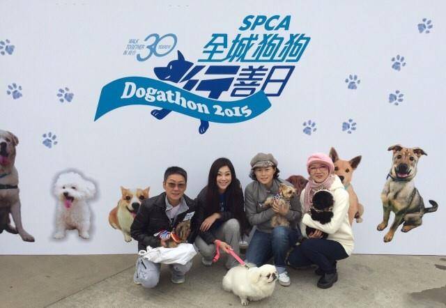 身材|51岁傅明宪罕见露面,穿T恤变胖背厚手臂粗,扎双麻花辫难掩老态