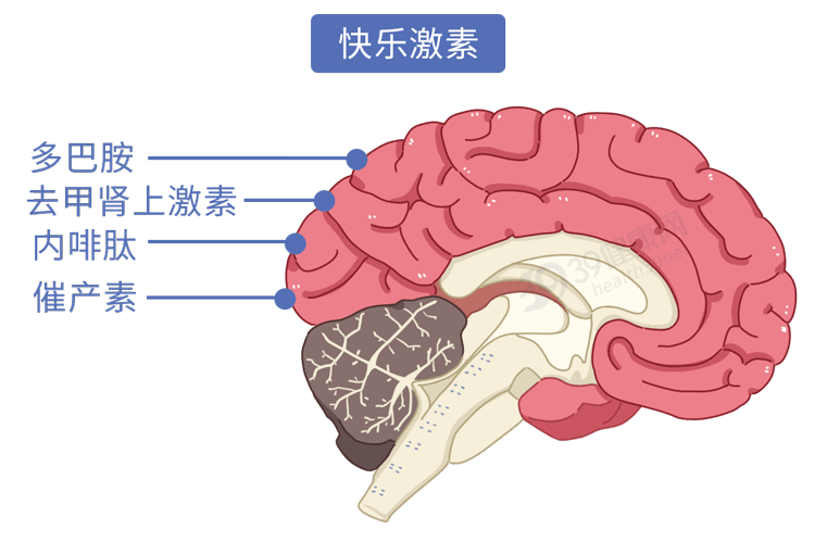 246febe0abc347a89e4a2a020a894071.png