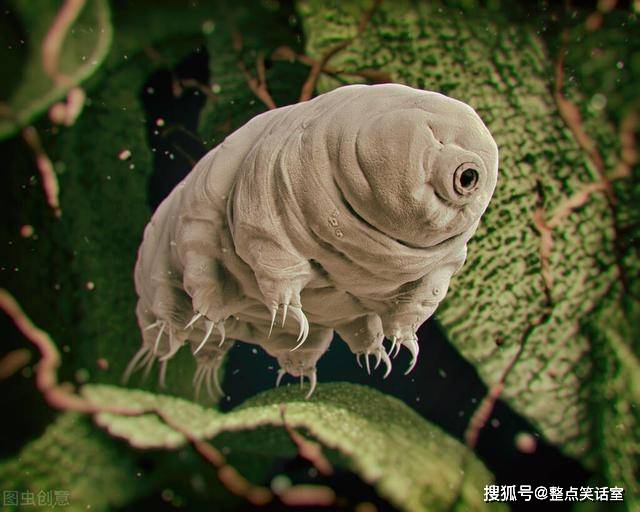 世界上最厉害的动物怎么画 7bff6673f8d04b8b8a99159d2b698184.jpeg