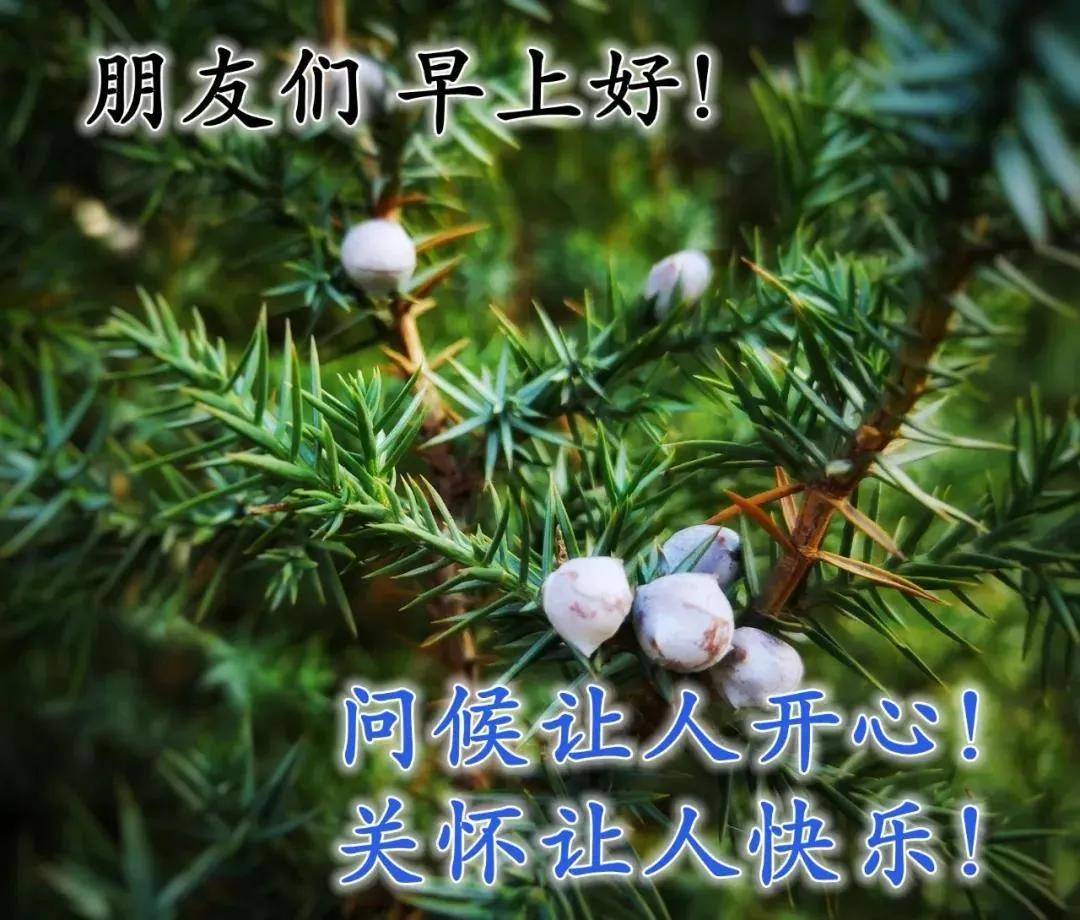 原創8張清新漂亮秋天清晨早安圖片帶字帶祝福語好看的秋日風景早上好