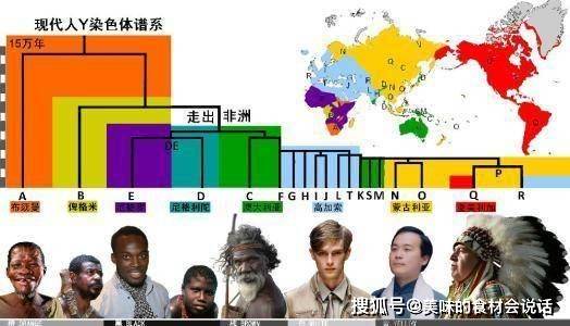 cac722e33c314ab6a4694b77254f12ad.jpeg