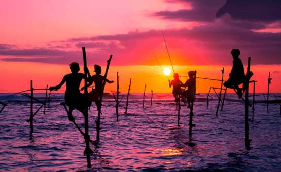 斯里兰卡独特风俗，踩着高跷钓鱼，游客直言：被坑惨了！