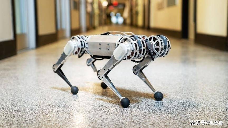 技术|“铁蛋”遛后感：关于CyberDog仿生四足机器人的思考