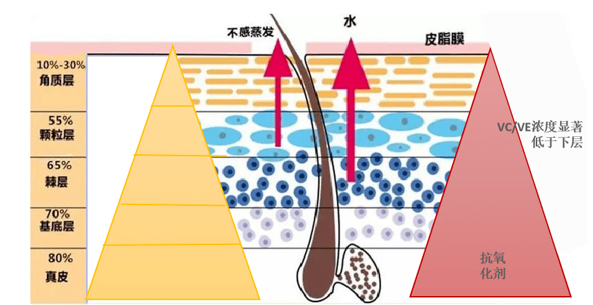 状况|敬修堂佰花方：对油性皮肤来说，控油和补水哪个更重要？