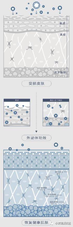 治疗|美容界的新宠，开启美容抗衰新高度