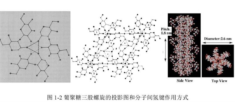 品牌|再生医美新风口，心辰品牌如何引领再生材料新方向