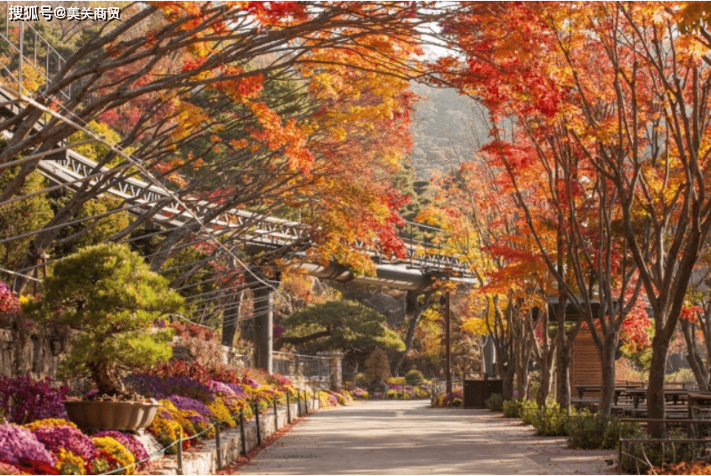 韩国京畿道光州市图片