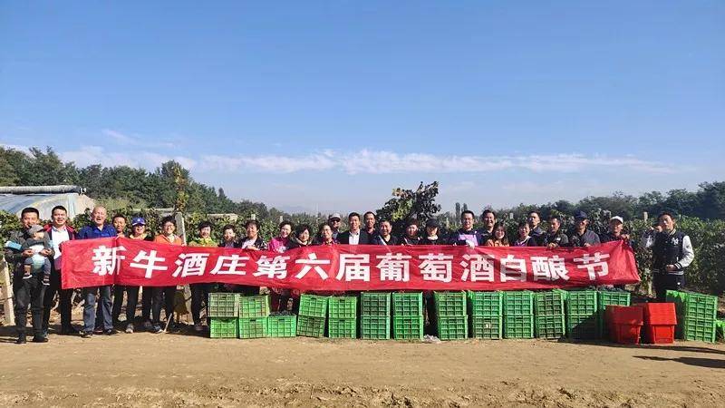 活动|第八届葡萄酒自酿节开启，火热报名中！